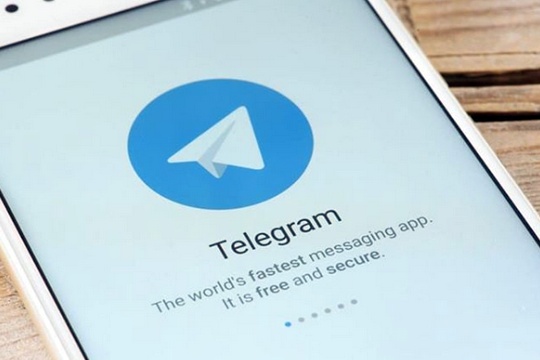 Подписывайтесь на телеграм-канал Федерации шахмат Москвы – Mskchess!