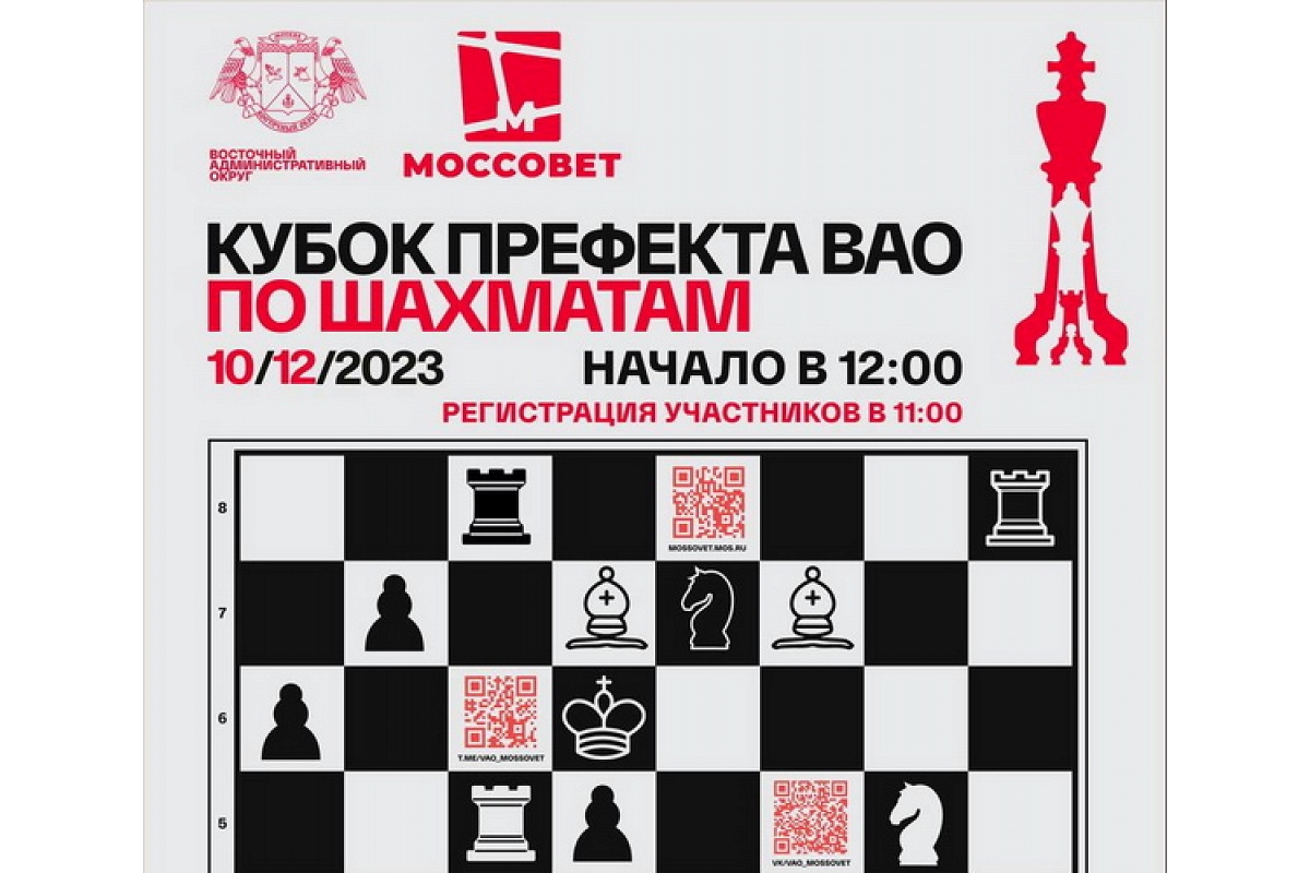 Кубок Префекта ВАО Москвы пройдет 10 декабря