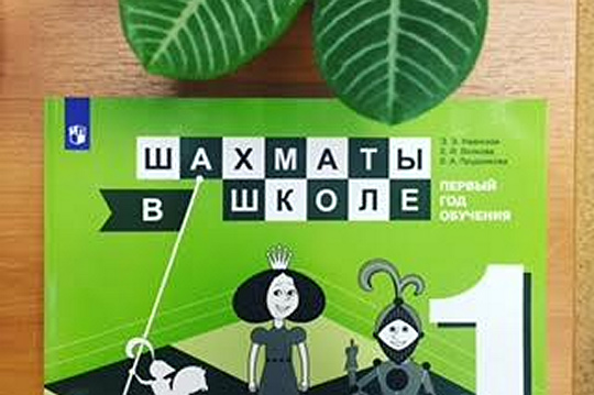 В Академии «Просвещения» прошли первые курсы по программе «Шахматы в школе»